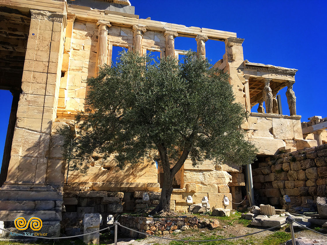 athens half day tour